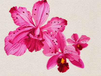 Pink Iris Medium Zipper Pouch